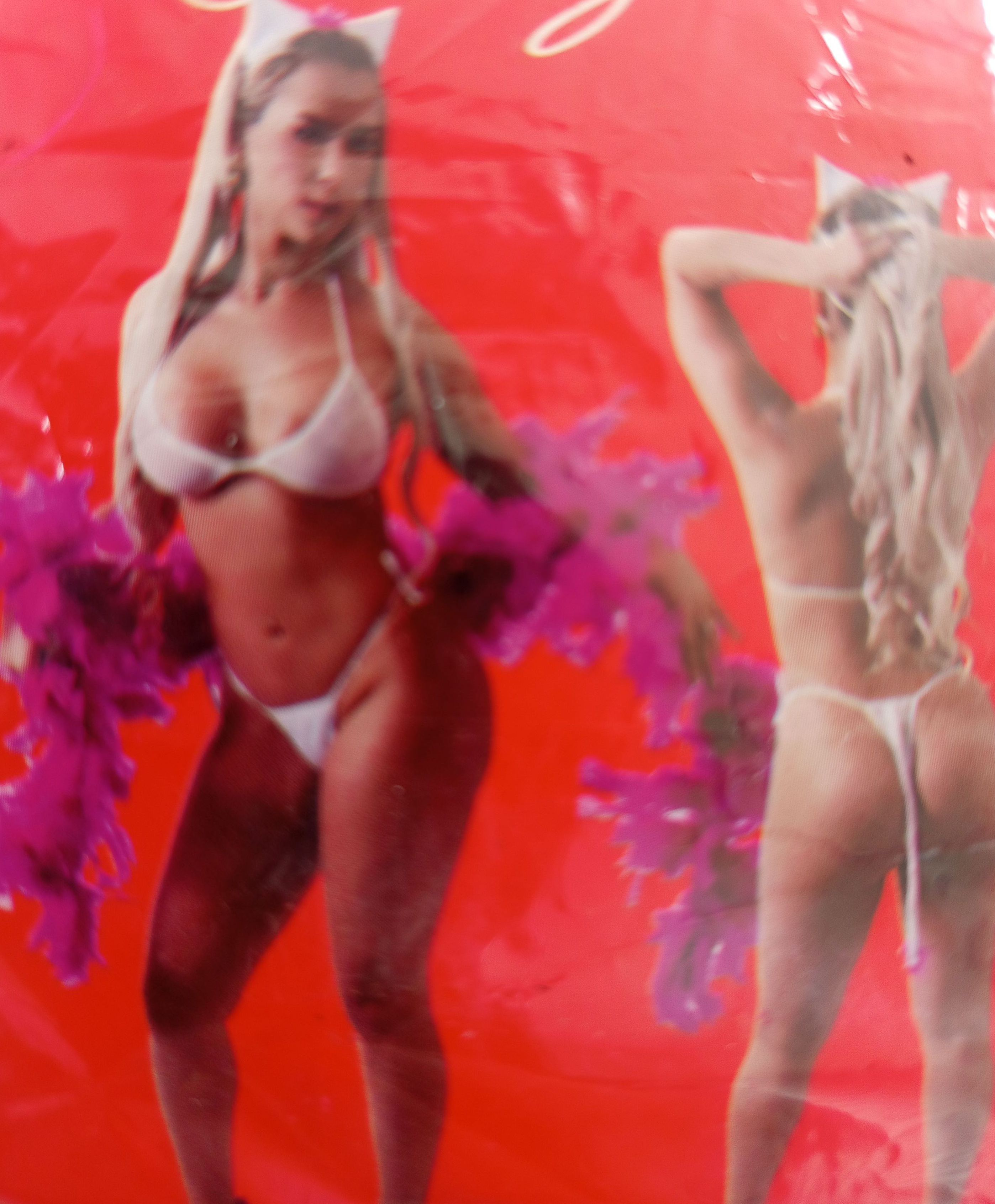 FANTASIA DE GATINHA